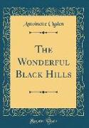 The Wonderful Black Hills (Classic Reprint)