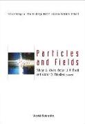 Particles and Fields: Proceedings of the XI Jorge Andre Swieca Summer School