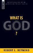 What Is God?: An Investigation of the Perfections of God's Nature