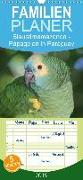 Blaustirnamazonen - Papageien in Paraguay - Familienplaner hoch (Wandkalender 2019 , 21 cm x 45 cm, hoch)