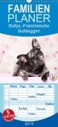 Bullys - Französische Bulldoggen 2019 - Familienplaner hoch (Wandkalender 2019 21 cm x 45 cm hoch)
