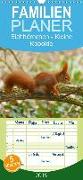 Eichhörnchen - Kleine Kobolde - Familienplaner hoch (Wandkalender 2019 , 21 cm x 45 cm, hoch)