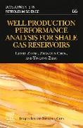Well Production Performance Analysis for Shale Gas Reservoirs