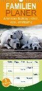 American Bulldog - stolz, loyal, einzigartig - Familienplaner hoch (Wandkalender 2019 , 21 cm x 45 cm, hoch)