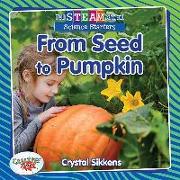 From Seed to Pumpkin