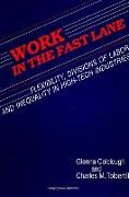 Work in the Fast Lane: Flexibility, Divisions of Labor, and Inequality in High-Tech Industries