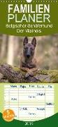 Belgischer Schäferhund - Der Malinois - Familienplaner hoch (Wandkalender 2019 , 21 cm x 45 cm, hoch)