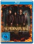 Supernatural, Staffel 12 (4 Discs)