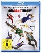 The Big Bang Theorie, Staffel 11 (2 Discs)