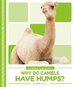 Science Questions: Why Do Camels Have Humps?