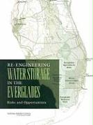 Re-Engineering Water Storage in the Everglades: Risks and Opportunities