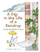 A Day In The Life Of A Raindrop