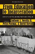 From Education to Incarceration