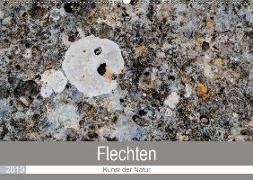 Flechten - Kunst der Natur (Wandkalender 2019 DIN A2 quer)