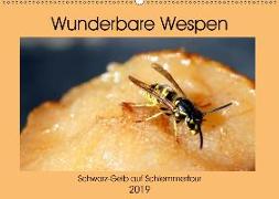 Wunderbare Wespen - Schwarz-Gelb auf Schlemmertour (Wandkalender 2019 DIN A2 quer)