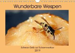 Wunderbare Wespen - Schwarz-Gelb auf Schlemmertour (Wandkalender 2019 DIN A4 quer)
