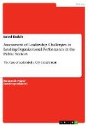 Assessment of Leadership Challenges in Leading Organizational Performance in the Public Sectors