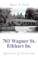 703 Wagner St. Elkhart In.: Reflections of Perseverence