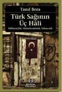 Türk Saginin Üc Hali