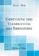 Gewinnung und Verarbeitung des Bernsteins (Classic Reprint)