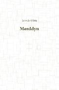 Merddyn