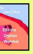 Ella the Oprhan Wombat