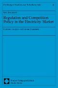 Regulation and Competition Policy in the Electricity Market