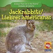 Jackrabbits/Liebres Americanas