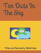 Ten Owls in the Sky