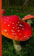 Made in the Highlands Journal: Fly Agaric Mushroom Notebook with Journaling Pages, Dot Grid and Squared Paper Pages