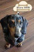 Diary 2019: Funny Dog Breed Dachshund