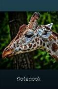 Notebook: Giraffe Wild Animal