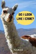 Notebook: Funny Llama Do I Look Like I Care?