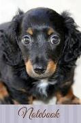 Notebook: Dachshund Dog Breed