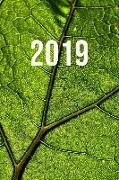 2019: Jan - Dez Wochenplaner - 365 Tage Terminkalender Mit Uhrzeit - 1 Tag Auf 1 Seite, Ca. A5 - Blatt Grün