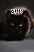 2019: Jan - Dez Wochenplaner - 365 Tage Terminkalender Mit Uhrzeit - 1 Tag Auf 1 Seite, Ca. A5 - Süße Katze