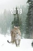 2019: Jan - Dez Wochenplaner - 365 Tage Terminkalender Mit Uhrzeit - 1 Tag Auf 1 Seite, Ca. A5 - Leopard Im Schnee