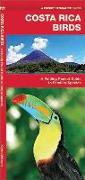 Costa Rica Birds: A Folding Pocket Guide to Familiar Species