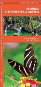 Florida Butterflies & Moths: A Folding Pocket Guide to Familiar Species