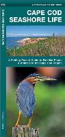 Cape Cod Seashore Life: A Folding Pocket Guide to Familiar Plants & Animals in the Cape Cod Region