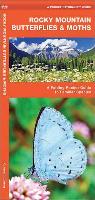 Rocky Mountain Butterflies & Moths: A Folding Pocket Guide to Familiar Species