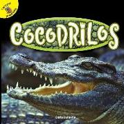 Cocodrilos: Crocodiles