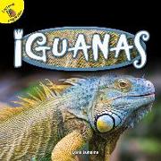 Iguanas: Iguanas