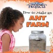 How to Make an Ant Farm