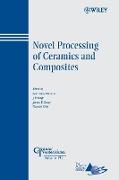 Novel Processing of Ceramics and Composites