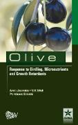 Olive Response to Girding, Micronutrients and Growth Retardants