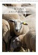 Schafe - 12 Monate in der Herde (Wandkalender 2019 DIN A4 hoch)