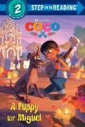 A Puppy for Miguel (Disney/Pixar Coco)