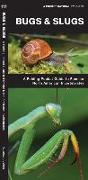 Bugs & Slugs: A Folding Pocket Guide to Familiar North American Invertebrates