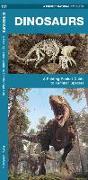 Dinosaurs: A Folding Pocket Guide to Familiar Species